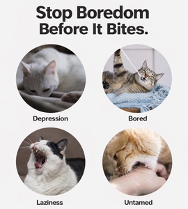 Cross-Border New Arrival <b>Laser</b> <b>Cat</b> Teaser Wand Smart Motion-Sensing Interactive Red <b>Laser</b> Pointer Training Boredom Buster Indoor - Product Image 4