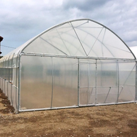 Serre commerciale à simple travée en film PE, structure en acier galvanisé à chaud blanc, pour l'agriculture à petite échelle et les cultures domestiques