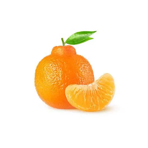 Vente en gros de mandarine fraîche de qualité supérieure d'origine égyptienne mandarine agrumes sucrés nouvelle culture OEM marque privée expédition rapide