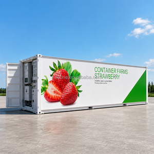 Conteneur de culture hydroponique de fraises, serre, équipement agricole à contrôle climatique intelligent, usage commercial - Product Image 4
