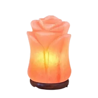 Lámpara de Sal del Himalaya Hecha a Mano, Combo Purificador de Aire USB, Formas de Luna, Pirámide, Cubo y Corazón para Hogar y Oficina, Venta al Por Mayor