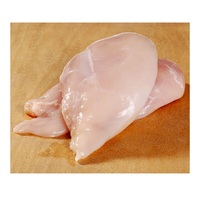 Relleno de pechera de pollo, sin piel, certificado, proveedor de Brasil