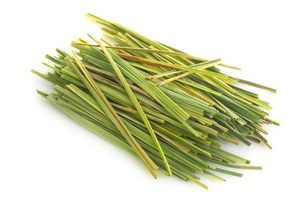 <b>DRIED</b> <b>LEMONGRASS</b> LEAVES FROM VIETNAM | BULK ORDER AVAILABLE - Product Image 2
