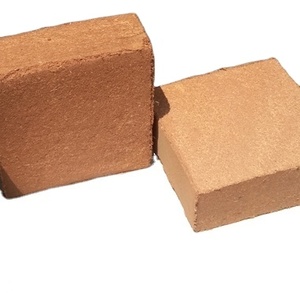COCO PEAT, Producto respetuoso con el medio ambiente, en venta - Product Image 1