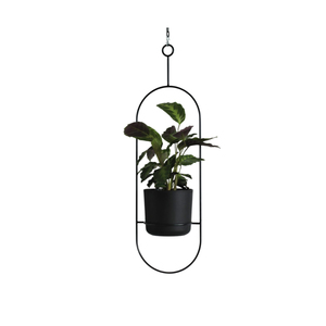 Jardinière suspendue en métal noir de qualité de luxe pour balcon et maison Pots de plantes décoratives pour affichage de jardin Pots de fleurs au prix de gros - Product Image 4