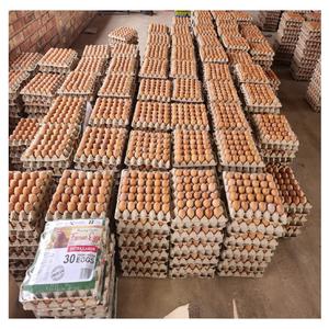 100% Produit naturel Oeufs de table de poulet frais de ferme de dinde/Œufs de poulet en coquille brune et blanche - Product Image 5