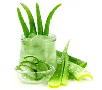 Gel de Aloe Vera orgánico Natural, OEM/ODM, para quemar el Sol a granel, extracto de Aloevera, blanqueamiento Facial y cuidado corporal