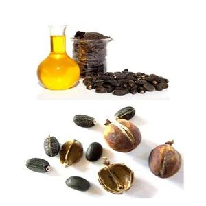 Pure Refined Jatropha Oil in Bulk Packaging for Renewable Energy Solutions and Industrial Use Trusted Supplier and Manufacturer - Product Image 1