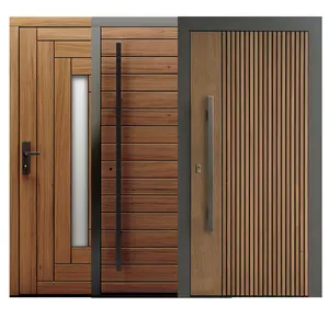 최신 디자인 현대 홈 Prehung 솔리드 블랙 호두 베니어 룸 문