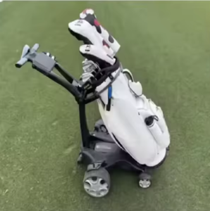 Carrito de Golf Eléctrico Nuevo con Construcción de Aluminio Resistente y Batería de Litio - Product Image 1