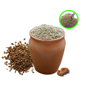 Carom ที่คัดสรรแล้ว (ajwain) | สมุนไพรพรีเมี่ยมสำหรับใช้ในชีวิตประจำวัน - Product Image 2