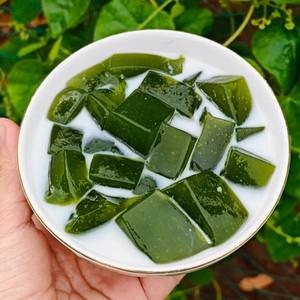 NOUVEAU Poudre de gelée verte pour la restauration, ingrédient facile à préparer pour les boissons et les desserts - Product Image 4