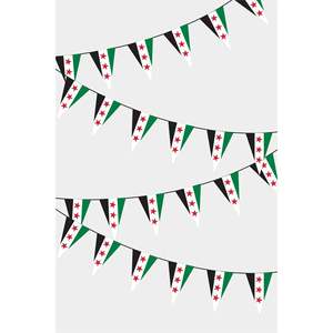 Syria Triangular Flag Garland Party <b>Banners</b> Collection - Product Image 1