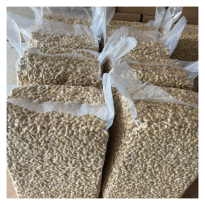 Service de noix de Macca OEM 100% du Vietnam, noix de Macca rôties riches en nutrition et en saveur, adaptées aux acheteurs internationaux - Product Image 3