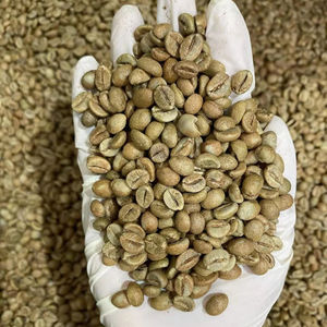Café Robusta Premium de Vietnam, Aroma Intenso, Venta al por Mayor, Suministro a Granel en Sacos de Yute - Product Image 1