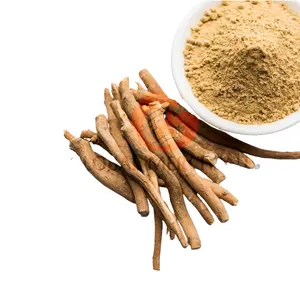 100% Pure Ashwagandha Extract 2.5% By GV / Methanol Solvent Powder For Sale By Indian Exporters Low Prices