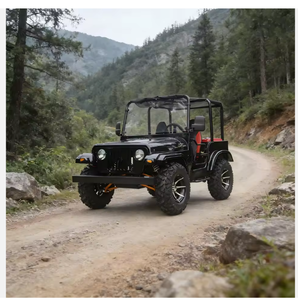 รถจี๊ปไฮบริด 2 ที่นั่ง/รถอเนกประสงค์แบบเคียงข้างกัน (สไตล์ Wrangler พร้อมสีที่ปรับแต่งได้ สำหรับการขายสินค้ากลางแจ้ง/บนถนน) - Product Image 3