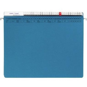 Hanging File <b>Folder</b> <b>A4</b> 320g/m Cardboard Medium Blue-Orgalex - Product Image 1