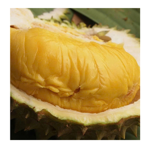 Alta calidad congelado Durian Vietnam congelado Durian pulpa IQF Durian trozos de carne para batidos postres y exportación de alimentos - Product Image 6