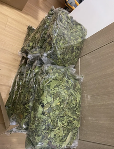 Proveedor mayorista de hojas de papaya secas de primera calidad en Vietnam - Product Image 4