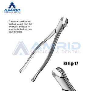 Instrumentos quirúrgicos dentales fórceps de acero para extracción de dientes premolares superiores equipos dentales CE - Product Image 6