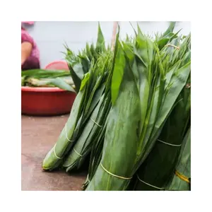 越南优质竹叶 | 出口竹叶