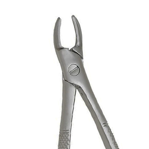 Fórceps de Extracción Dental de Acero Inoxidable Manual para Extracción de Raíces de Mandíbula Superior, Agarre Ergonómico, Calidad de Grado A+ - Product Image 2