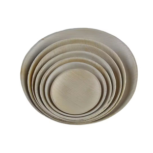 Assiettes à dîner carrées jetables et biodégradables en feuilles de palmier les plus vendues en gros pour le service de la nourriture dans les fêtes de mariage à bas prix - Product Image 4
