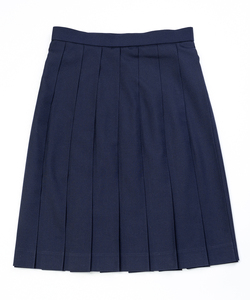 Tremendous Quality Worthy Sales C8 Breathable Anti-Wrinkle Japan Style Knee Length <b>Navy</b> Pleated Zipper School <b>Skirt</b> - Product Image 2