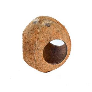 Casa de pájaros con cáscara de coco ecológica, nido atractivo para loros y otras mascotas - Product Image 3