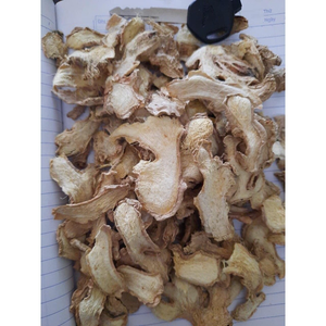 GINGEMBRE IMMUNITAIRE TONIQUE/TRANCHE SÉCHÉE ET CONCENTRÉ DE JUS - Product Image 4