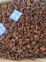 Tanaman Baru 2025 Bunga Musim Gugur Besar Bunga Anise Bintang Asal Vietnam Kualitas Premium Harga Grosir Terbaik WS+84359166896