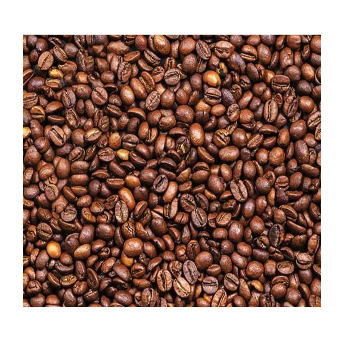 수출 아라비카 커피 콩과 도매 커피 녹색 콩