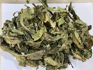 Vente en gros de feuilles de papaye séchées à base de plantes naturelles du Vietnam - Product Image 4