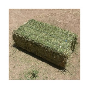 Foin de luzerne frais de qualité supérieure Alimentation du bétail de haute qualité pour chevaux bovins porcs pour petits animaux de compagnie - Product Image 5