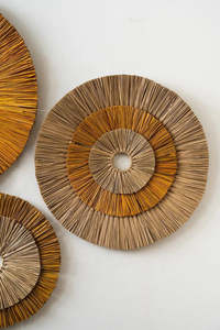 Decoración de pared de algas marinas, colgante de pared, decoración del hogar, accesorios de decoración del hogar altamente estéticos, venta al por mayor. - Product Image 4