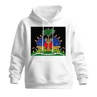 Livraison en gros rapide plusieurs options de couleur drapeau d'Haïti design pull pour hommes imprimé à la demande sweat à capuche décontracté pour hommes