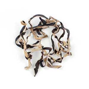 Bon prix oreille d'arbre meilleure qualité bois-oreille champignon ANGLE Ms - Product Image 1