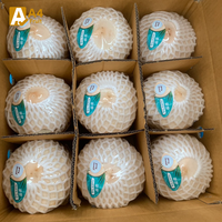 Thaise Khey Taladthai jonge kokosnoot, handgeplukt, verse hele kokosnoot met verfrissend water, zacht vlees en pulp, 18cm, 1,2kg, kwaliteit A