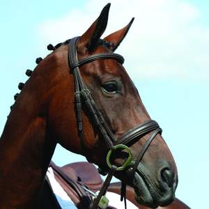 Bridon de cheval SidePull en cuir véritable de haute qualité, conçu sur mesure, avec logo brodé noir, vente en gros auprès des fabricants - Product Image 2