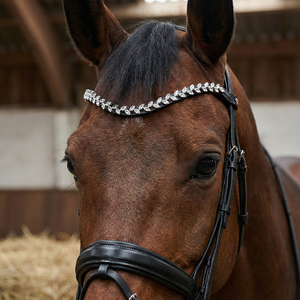Bandeau de tête incurvé en cuir noir avec motif de feuille de cristal transparent, taille et emballage personnalisables, qualité certifiée A+ - Product Image 1