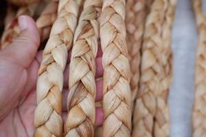 Jacinto de agua retorcido de alto estándar a un precio asequible, listo para exportar en grandes cantidades - Product Image 4