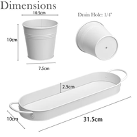 Vente d'usine Ensembles en métal galvanisé de couleur noire brillante à revêtement en poudre 3 mini pots de fleurs d'herbes pour jardin et maison avec plateau