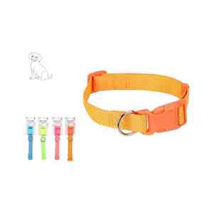 Kutya Nyakörv Színes 348000580 - Product Image 1