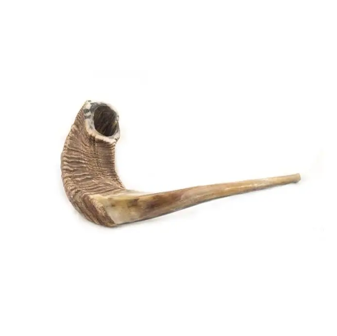 Wholesale Supply Natural Crafts Shofar Horn Ram Produce Sobbing Wailing and Sustained Sounds for Sale from India