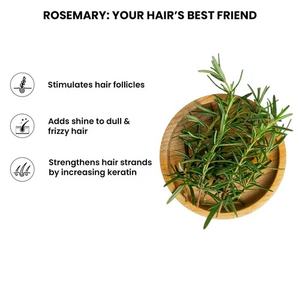 สมุนไพรธรรมชาติสกัดจากโรสแมรี่ผงกรดโรสแมรี่บริสุทธิ์10% 5% - Product Image 5