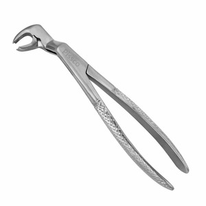 Pinzas de Extracción Dental 51A, Patrón Inglés, Pinzas Quirúrgicas Dentales, Instrumentos de Acero Inoxidable - Product Image 4