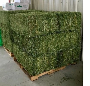 Heno/Alfalfa 100% Natural - Product Image 1