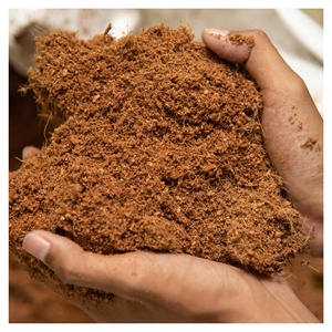 Haute qualité 100% naturel noix de coco coco tourbe fibre de coco 650 grammes brique quantité en vrac pour le nettoyage des déversements - Product Image 2