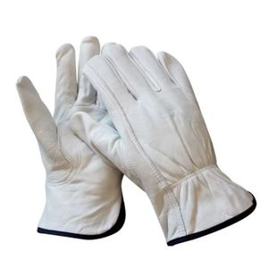 Industrial Protection <b>Driver</b> <b>Gloves</b> Sheep Grain Leather Heat Resistant for Working Safety <b>Gloves</b> - Product Image 1